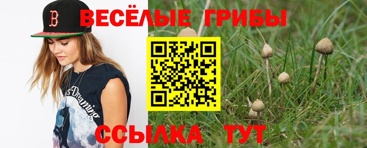 Полевской  Галлюциногенные грибы MAGIC MUSHROOMS  Псилоцибиновые грибы прущие грибы  Вход с VPN 